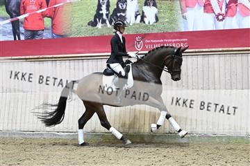 182241_kbb_01_Z094649.JPG