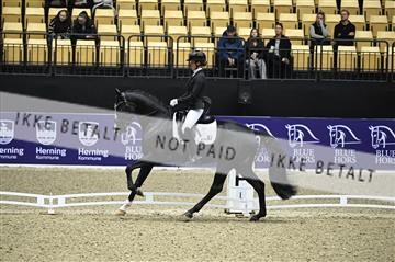 182194_kbb_01_Z096298.JPG