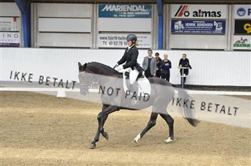 140040_abo_02__AB18490.JPG