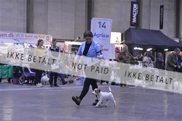 173842_bkn_01__D047515.JPG