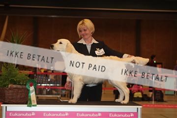 124188 _tl_02_IMG_9222.JPG