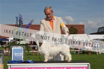 130370_se_03_IMG_7895.JPG