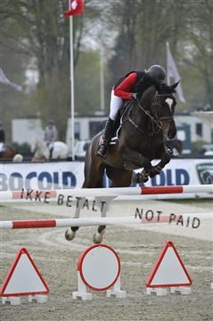 139644_abo_01__AB14133.JPG