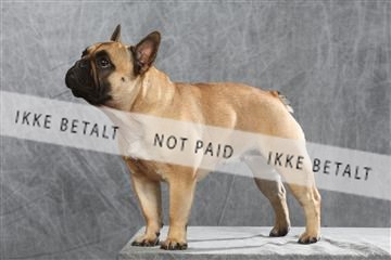 130054_le_ 01_0284.JPG