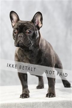 128239_le_kort_ 01_0449.JPG