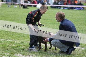 134871_ms_04_IMG_0282.JPG