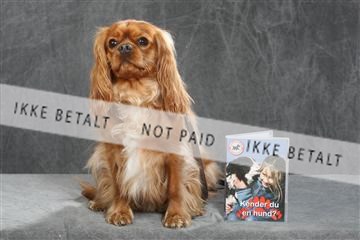 130054_le_ 01_0193.JPG