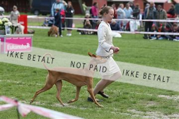 134871_ms_04_IMG_0209.JPG