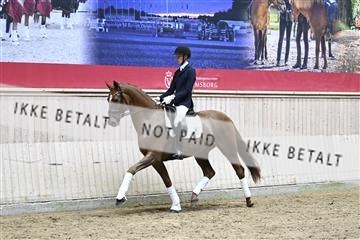 182241_kbb_01_Z094902.JPG