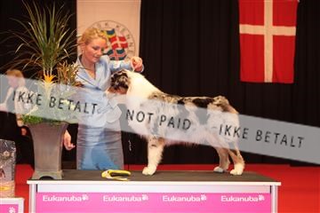 126827_tl_04_IMG_9913.JPG