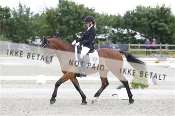 166078_rhj_01__J7R2283.JPG