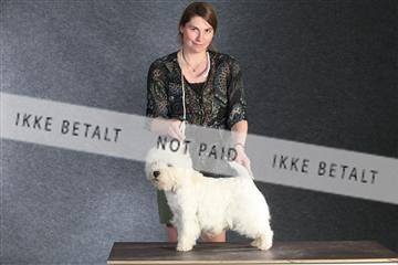 132082_le_ 01_IMG_1496.JPG