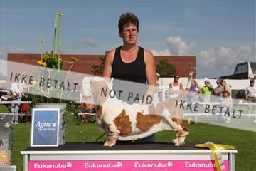 130370_se_03_IMG_7885.JPG