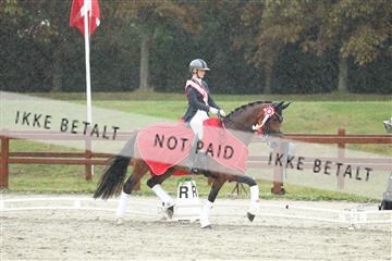 181923_mtp_04_R62_9063.JPG