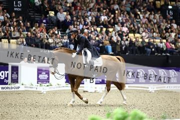 182194_avh_07_3808.JPG