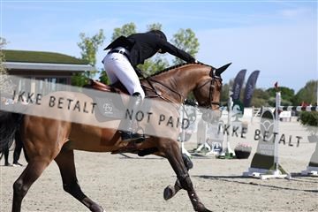 181436_avh_02_3528.JPG