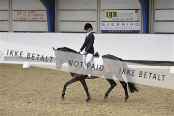 140040_abo_02__AB18962.JPG