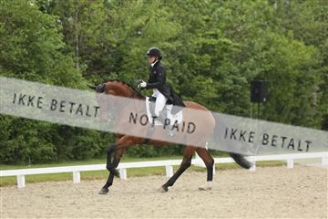 139835_sg_01_IMG_8305.JPG