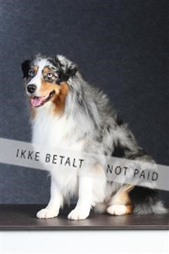 132082_le_ 01_IMG_0160.JPG