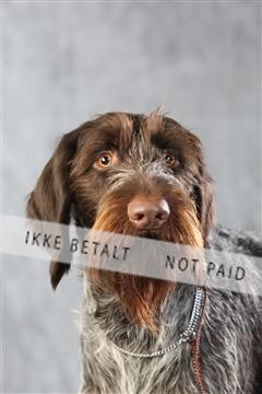 128239_le_ 06_0030.JPG