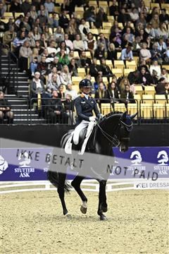 182194_kbb_03_Z092651.JPG