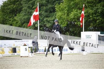 181449_jss_01__6II2006.JPG