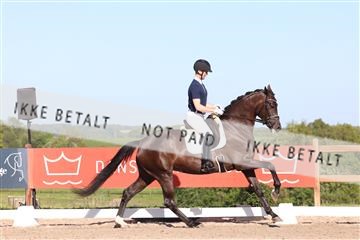 181449_bc_01R62_6272.JPG