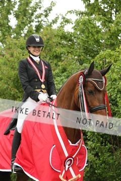 139835_sg_03_IMG_9455.JPG