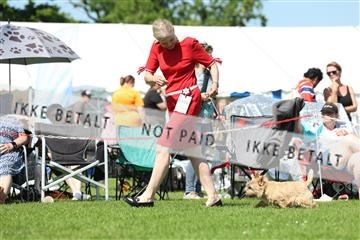 181564_rin_02_R62_3545.JPG