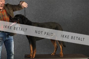 132082_le_ 01_IMG_0797.JPG