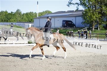 181449_kbb_01_6II8729.JPG