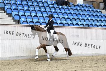 182241_kbb_01_Z094250.JPG