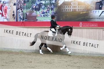 181887_mtp_02_R62_7584.JPG