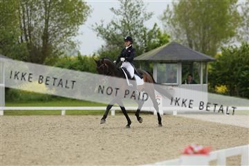 139835_sg_01_IMG_8178.JPG