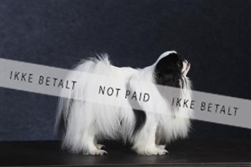 132082_le_ 01_IMG_0697.JPG