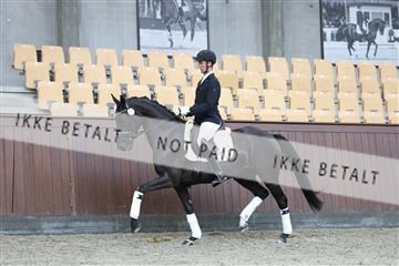 181852_mtp_04_R62_2577.JPG