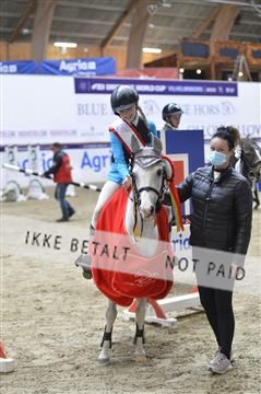 166898_kbb_1__KBB6338.JPG