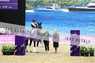 182194_avh_07_4552.JPG