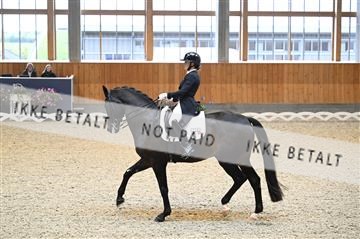 182176_kbb_01_Z094413.JPG