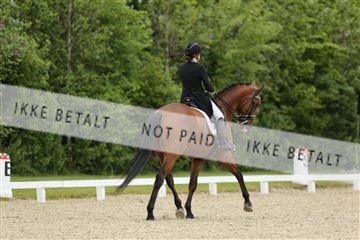 139835_sg_01_IMG_7861.JPG