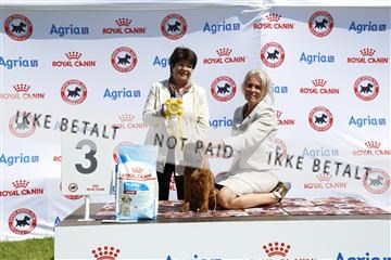 181564_kar_01__62_7699.JPG