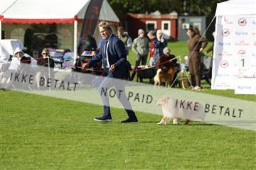 182009_kar_01__62_7338.JPG