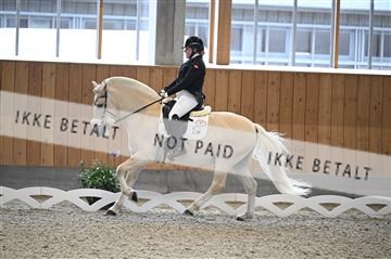182176_kbb_01_Z092504.JPG