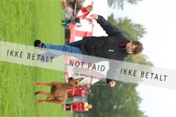 182009_rin_02_R62_2339.JPG