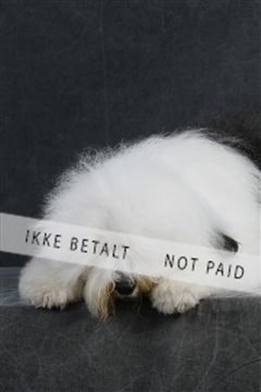 5493_sme _02__MG_9707.JPG