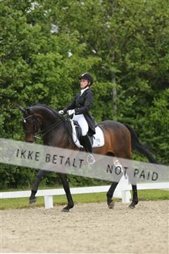 139835_sg_02_IMG_8395.JPG