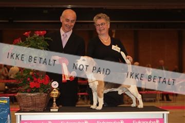 124188 _tl_02_IMG_9598.JPG