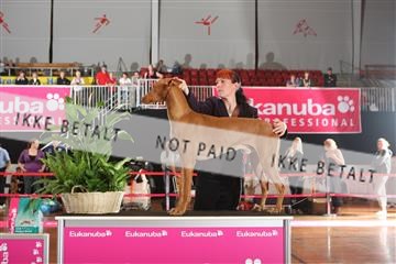 6068_ma_05_IMG_5933.JPG
