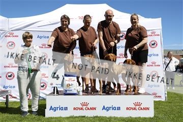 181564_ch_01__62_8833.JPG