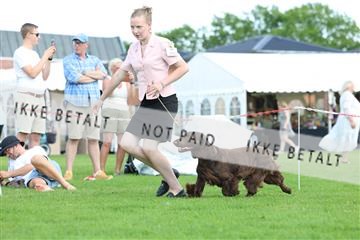 181564_rin_01_R62_0126.JPG